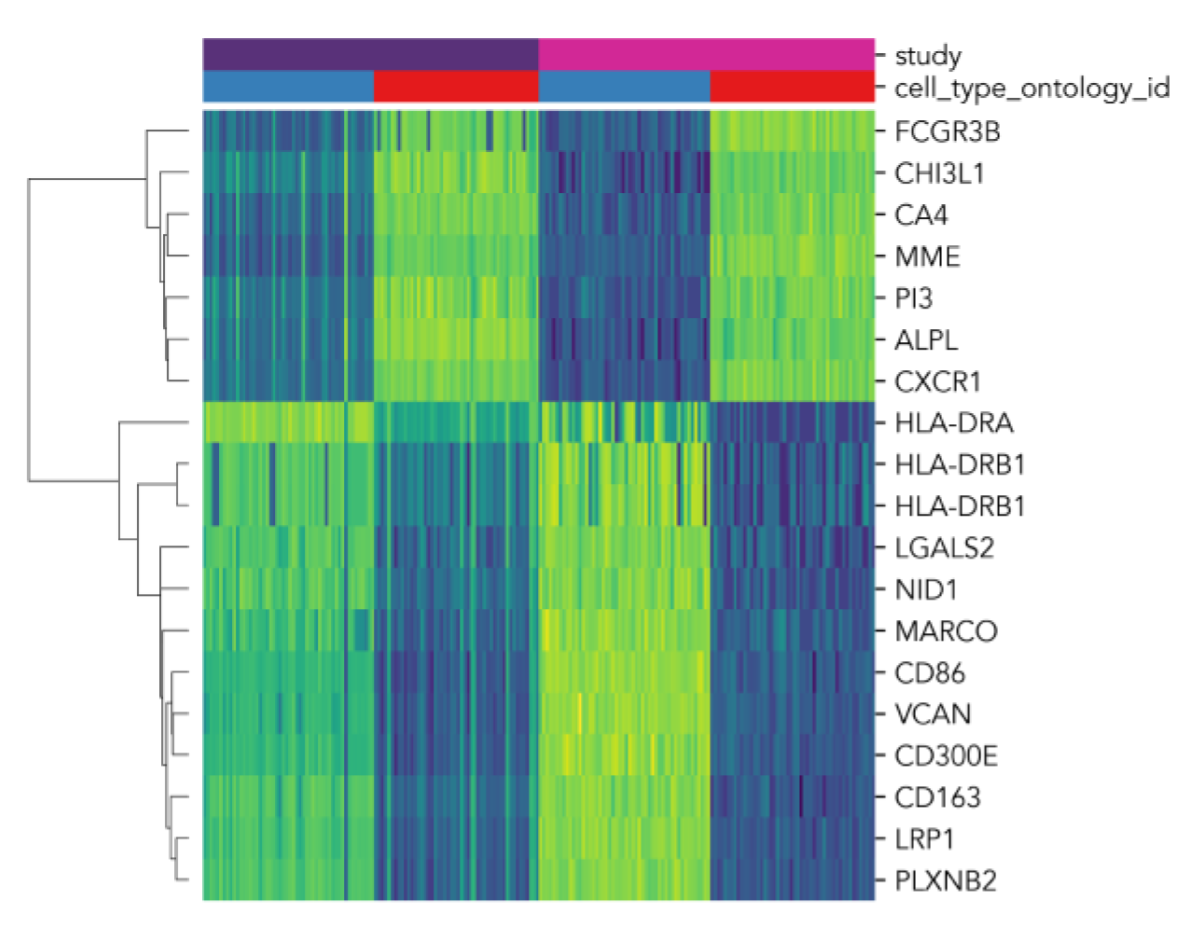 Which one is AI data?